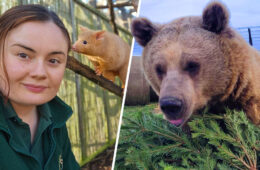 Protecting Wildlife: Hamerton Zoo Park's Heartwarming Mission