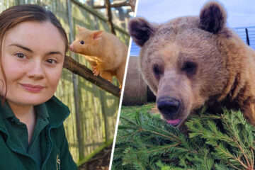 Protecting Wildlife: Hamerton Zoo Park's Heartwarming Mission