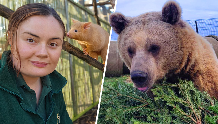 Protecting Wildlife: Hamerton Zoo Park's Heartwarming Mission