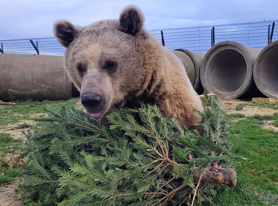 Hamerton Zoo Park