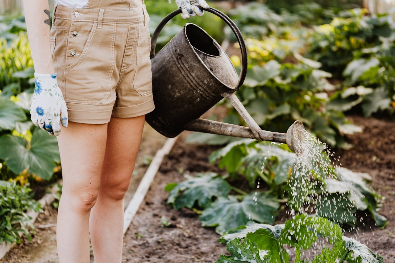 Gardening Tips for Beginners in the UK