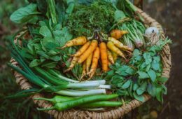 How to Grow Your Own Organic Vegetables at Home in the UK