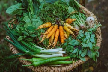 How to Grow Your Own Organic Vegetables at Home in the UK