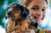 Best dog breeds for families with children | Family-friendly dog breeds | Let’s explore the best dog breeds for families with children and why... Dogs good with kids