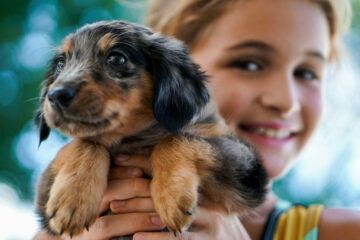 Best dog breeds for families with children | Family-friendly dog breeds | Let’s explore the best dog breeds for families with children and why... Dogs good with kids